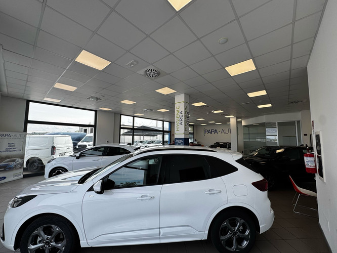 dealer showroom